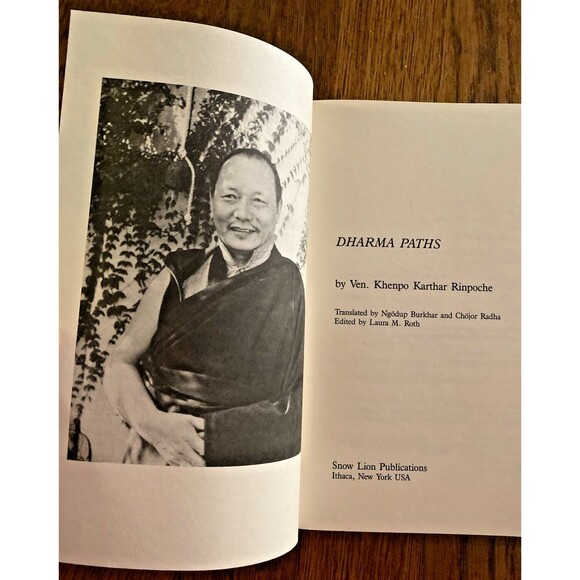 Dharma Paths by Khenpo Karthar (2011, Trade Paperback) - Picture 4 of 7